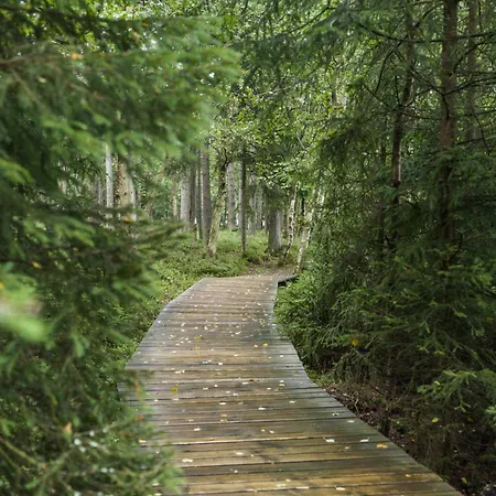 ホテル Falkensteiner 5*