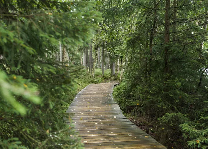 Hotell Falkensteiner 5*